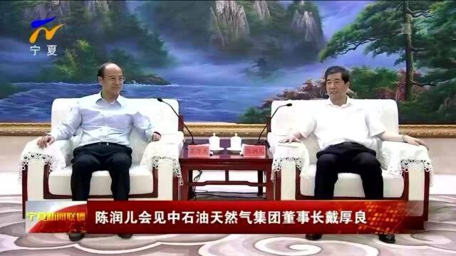 陈润儿会见中石油天然气集团董事长戴厚良