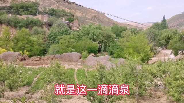 跟着一首歌《就恋这把热土》,欣赏大西北山沟里,我的家乡五月美景!