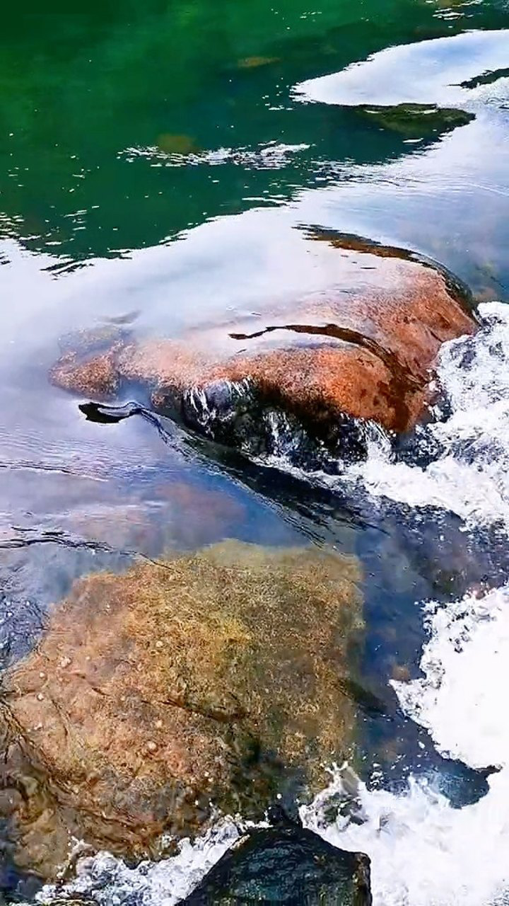 静心聆听,流水的声音可以让人放松