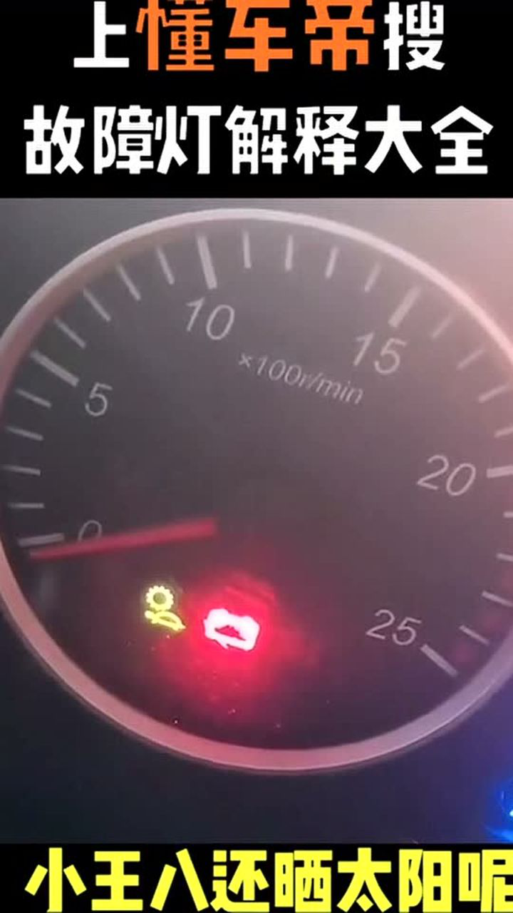 汽车仪表盘上出现个乌龟晒太阳的标志这是什么意思