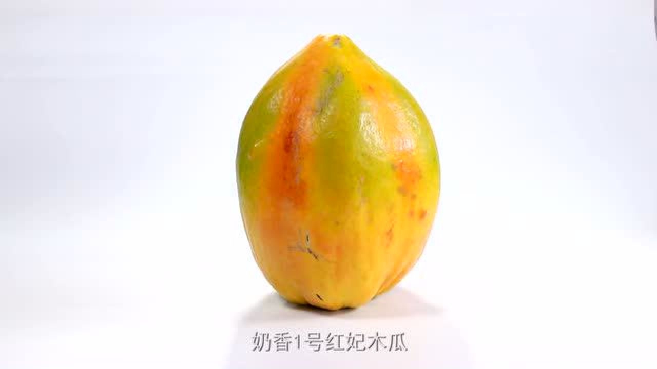 雨林仙木瓜产品篇:红妃木瓜