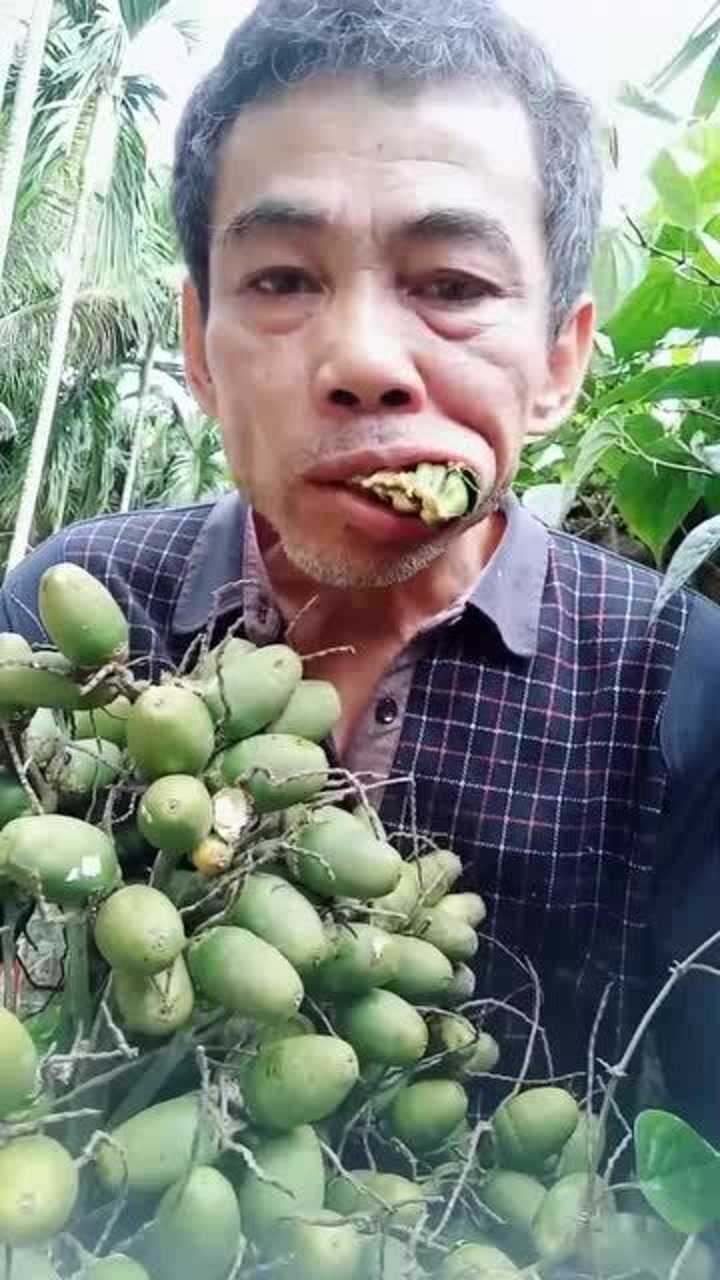 槟榔大叔吃刚摘下来的槟榔感觉特别新鲜网友嘎嘣脆啊
