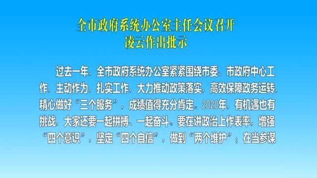 全市政府系统办公室主任会议召开 凌云作出批示