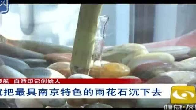 南京:被摘走的并蒂莲已制成标本 在玄武湖公园长期展出