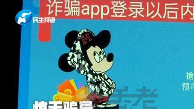 网上买“猫”收益高,投资者纷纷入局!