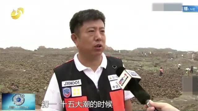 险些被海浪吞没!青岛:两名外地游客被困礁石 救生员海浪中救人