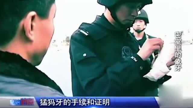 警方高速拦截车辆,后备箱搜出22件精美“工艺品”,专家惊讶道这是国宝