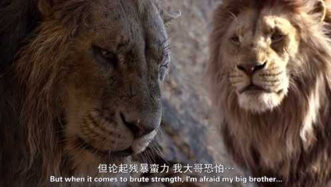 狮子王:刀疤与木法沙之间,怎么会变成这样呢?