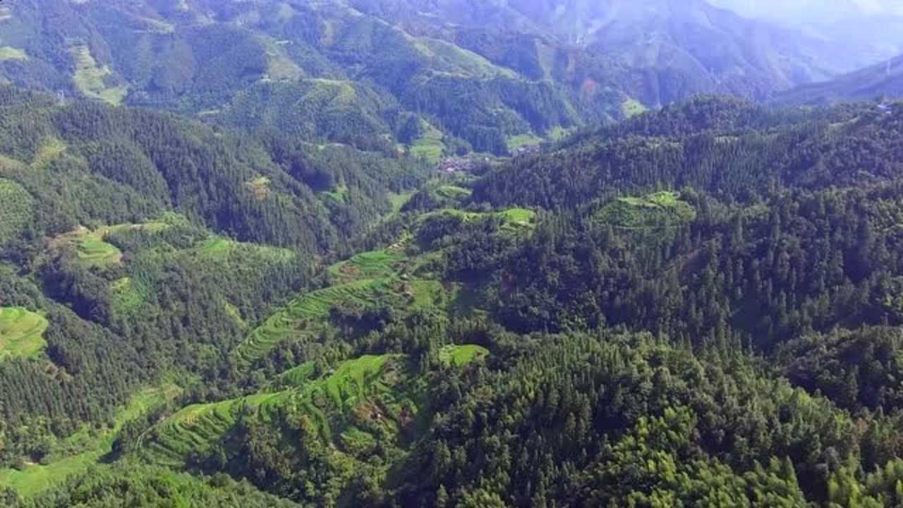 此地五马归巢,龙脉有形有气,名副其实的五龙戏珠风水宝地!