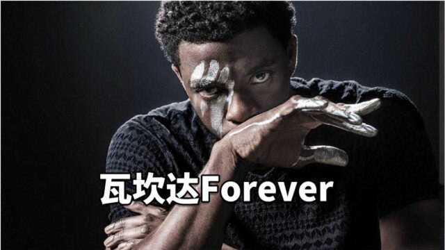 黑豹走了,我的漫威世界又少了一位英雄,瓦坎达forever!