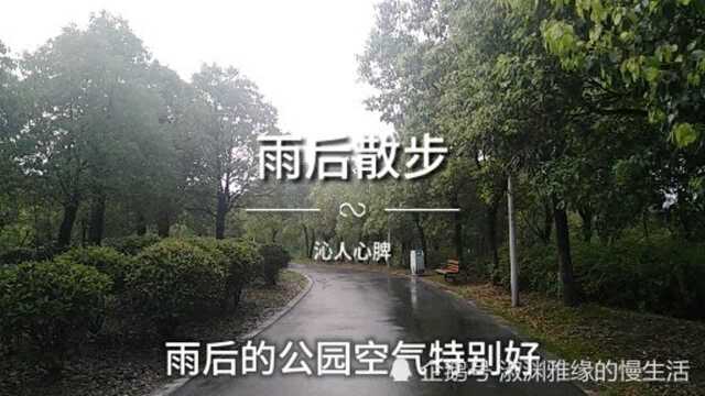 雨后公园散步,累了床车上休息,过自己喜欢的生活就是幸福的!