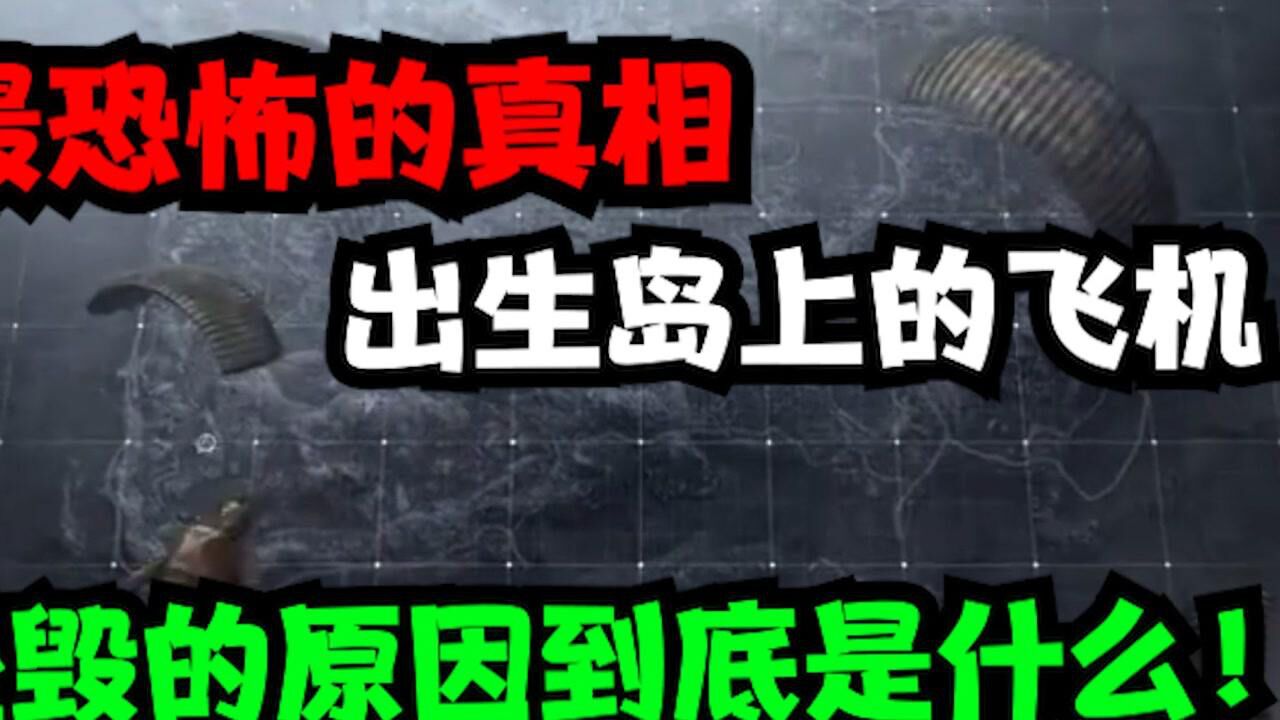 和平精英异闻录：最恐怖的真相，早已坠毁飞机载的究竟是谁？