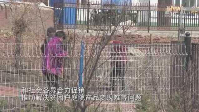 黑龙江克山县:消费扶贫助农增收