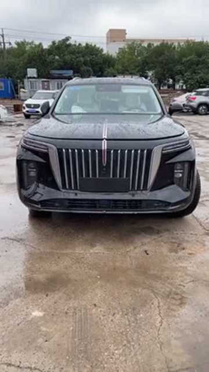 红旗ehs9,双色版本是不是更好看?