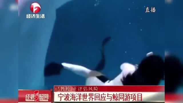 宁波海洋世界回应与鲸同游项目 已暂停 正评估风险