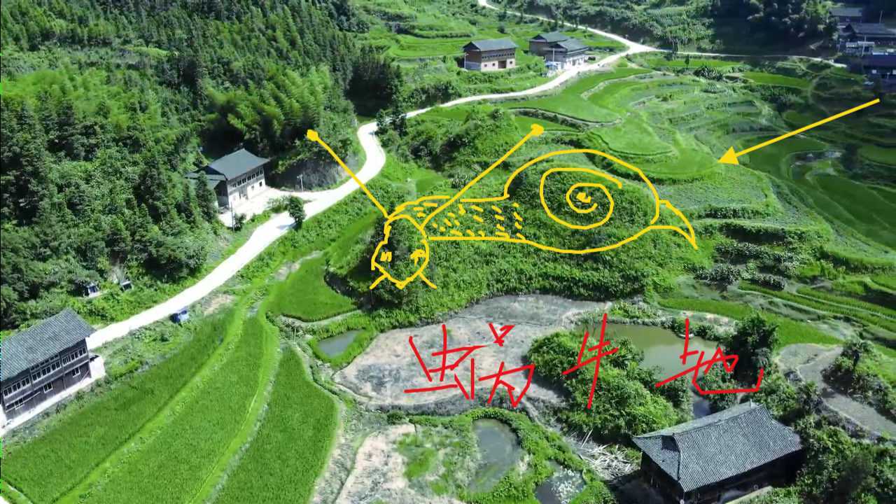 实拍蜗牛地蜗牛形状栩栩如生一步一步往前爬真是个风水宝地啊