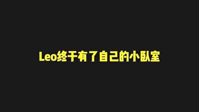 谢谢领导送给Leo的小家具,以后Leo也是有自己卧室的小猫咪了