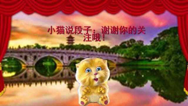 小猫讲笑话:小学生学的省略号的正确用法,太有才了!