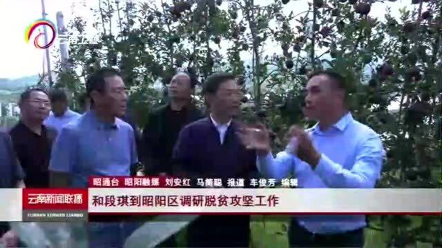 和段琪到昭阳区调研脱贫攻坚工作