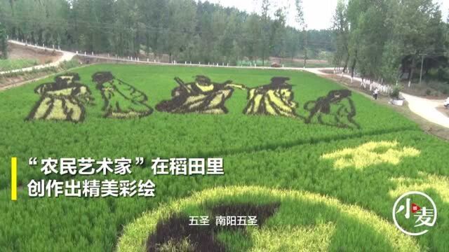 以田地为“纸”,用水稻“着色” 农民艺术家绘出精美稻田画