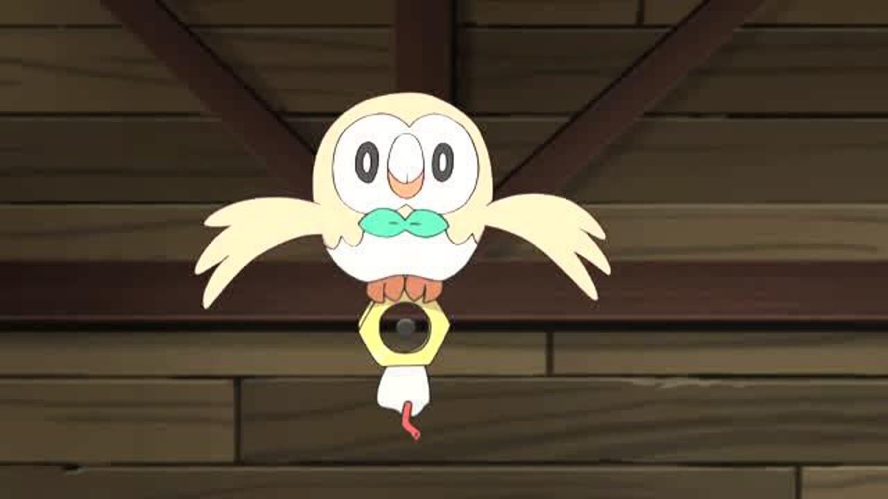 精灵宝可梦:美录坦对平底锅流口水,真是可爱!