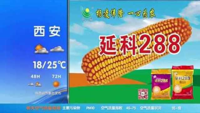 陕西一套《天气预报》2020.9.15