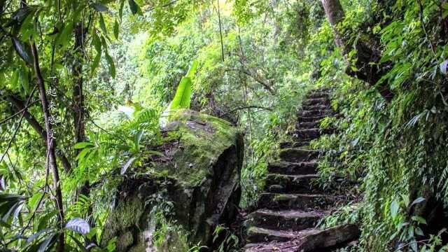 高黎贡密林山涧,让高山流水的画卷呈在眼前