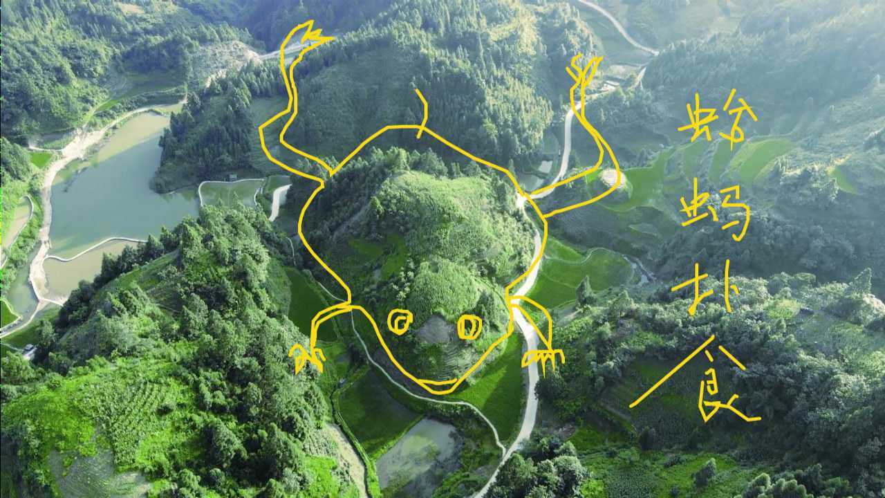 实拍蛤蟆捕食形状形象生动活灵活现真是个风水宝地