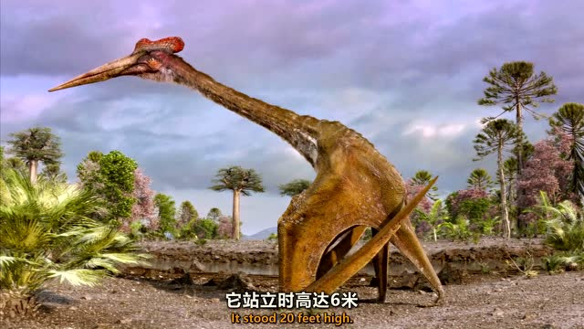 风神翼龙是白垩纪时期的飞行怪兽站立与长颈鹿平视的它究竟是何画风