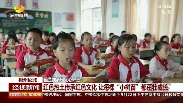 让每颗“小树苗”茁壮成长!红色热土传承红色文化