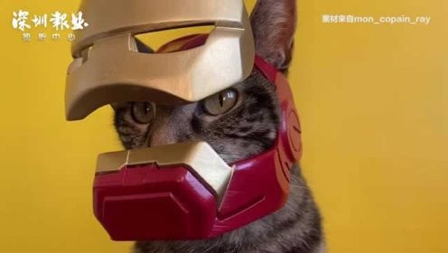 钢铁猫猫侠！3D打印猫咪版钢铁侠头盔