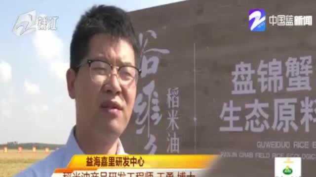 相当特别!秋高气爽 在谷维多稻田音乐会中感受北方的丰收季