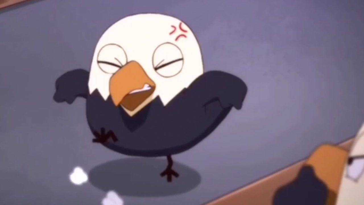 据悉鹰酱那些可爱的小短腿视频流出娇小魔性下面请看详细内容