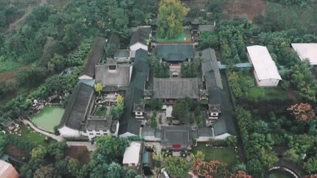 西安这两年最火的一座千年古寺:寺内一棵银杏树,相传唐太宗栽种