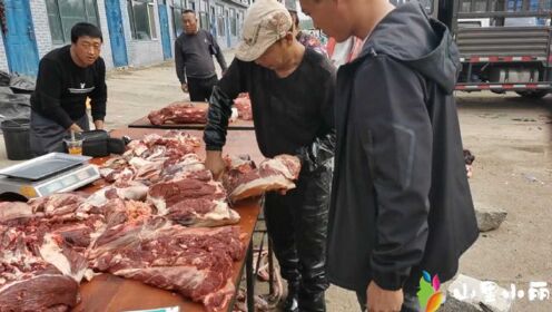 甘南市场现杀马肉，两家卖马肉一大早杀了6匹马，马肉串吃过吗