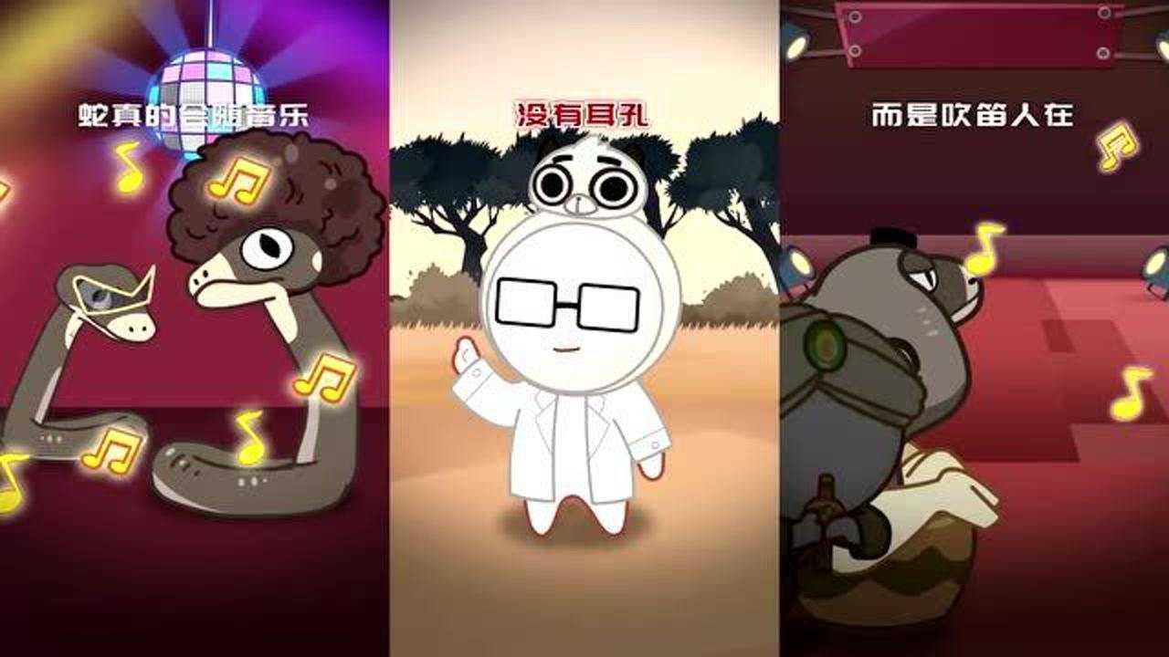 摩登大自然吹笛人怎么跟眼镜蛇共舞的你知道吗