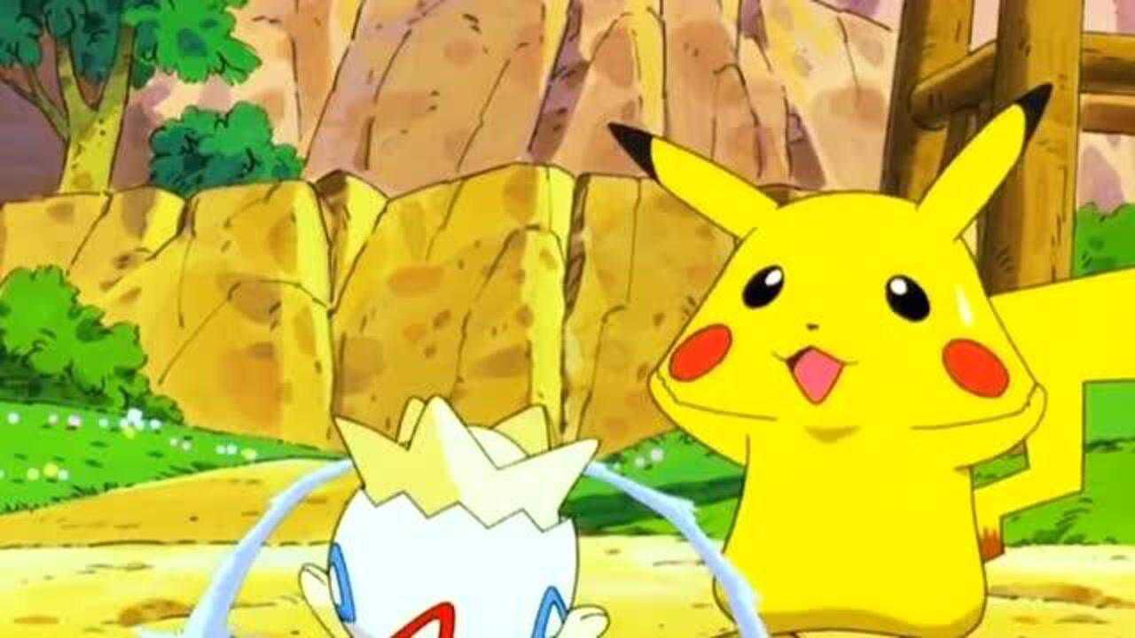 神奇宝贝:皮卡丘太有爱了,照顾波克比,尽心尽力