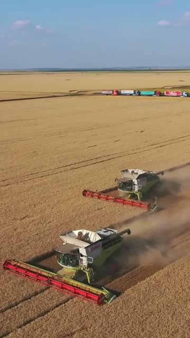 美国农场机械化收割粮食太方便了