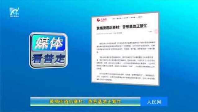 【聚焦】媒体看普定2020.10.13