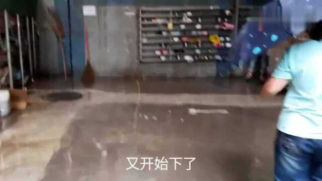 广东深圳:现在的电子厂都这样吗?菜都馊了,还打给我们吃,又不是没给钱!