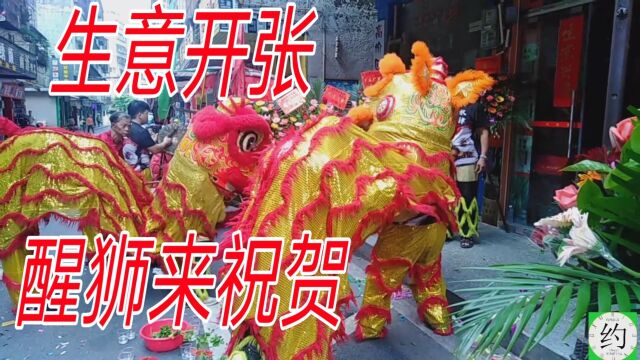 广东酒店开业,请醒狮来祝贺,采盆青寓意盆满钵满