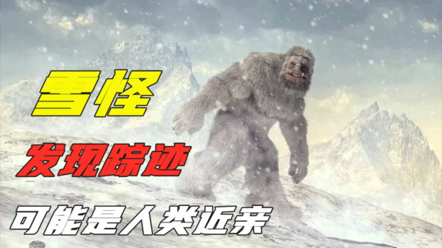 喜马拉雅山雪怪真的存在吗dna显现人类性征很可能是人类近亲