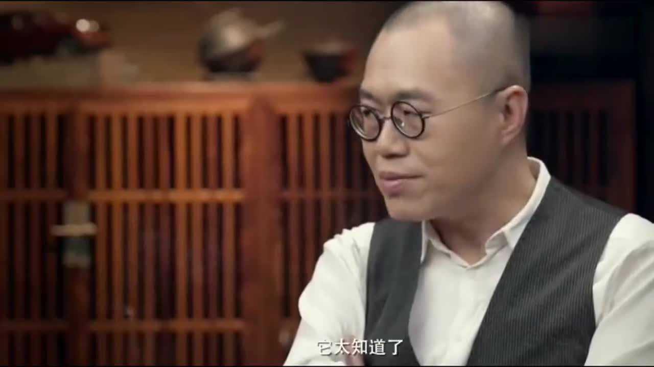 圆桌派马爷用亲身经历告诉你猫有多聪明听完不可思议
