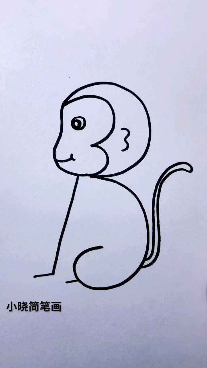 猴子最简单的画法图片