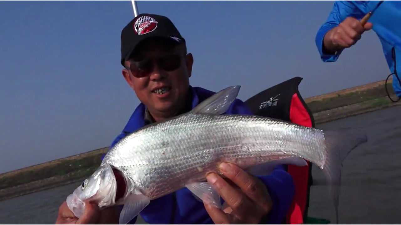 李大毛老师连竿弓背鱼这种鱼我还是头一次听说竟然和翘嘴差不多