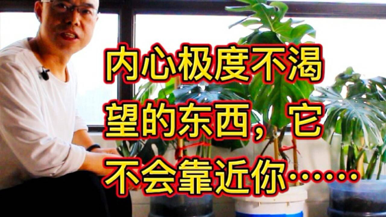 内心极度不渴望的东西,它不会靠近你.心不唤物,物不至