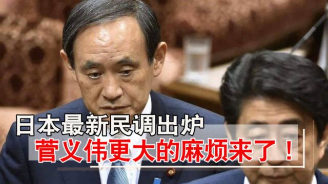 更大的麻烦来了!“菅义伟下台”冲上热搜后,日本最新民调出炉