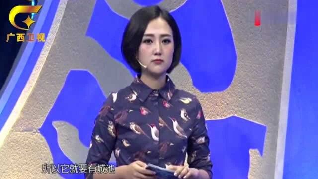 成语“固若金汤”中“汤”,竟是指护城河,让人惊讶丨收藏马未都