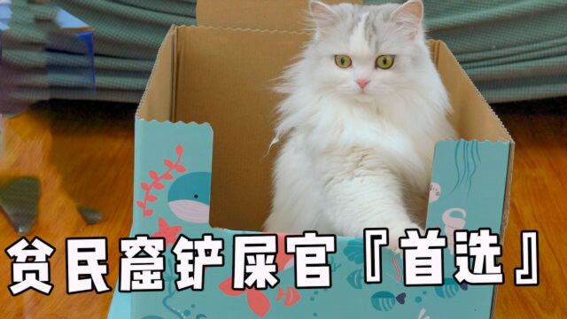 五十块钱买了个自动猫砂盆,一下省上千元,贫民窟铲屎官笑开了花