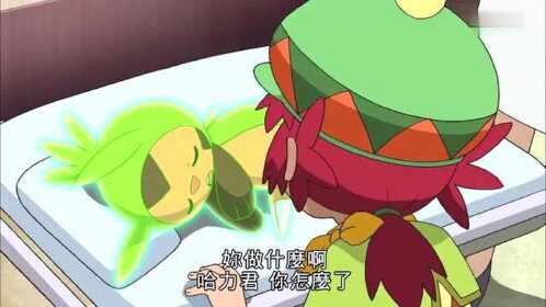 精灵宝可梦艾岚获得了十场比赛的胜利真是厉害